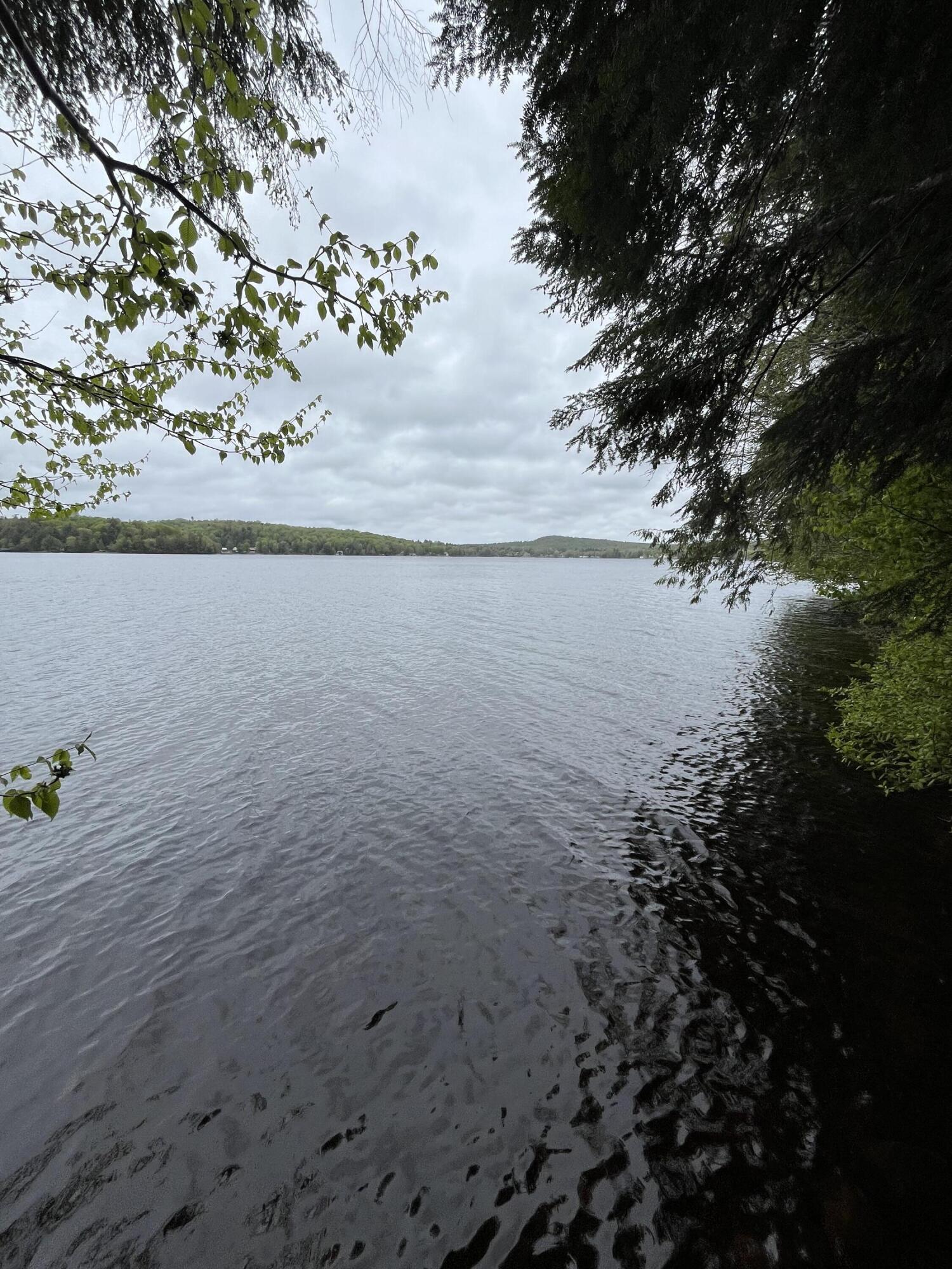 174 Lone Pine Rd Rd, Cranberry Lake, New York image 24