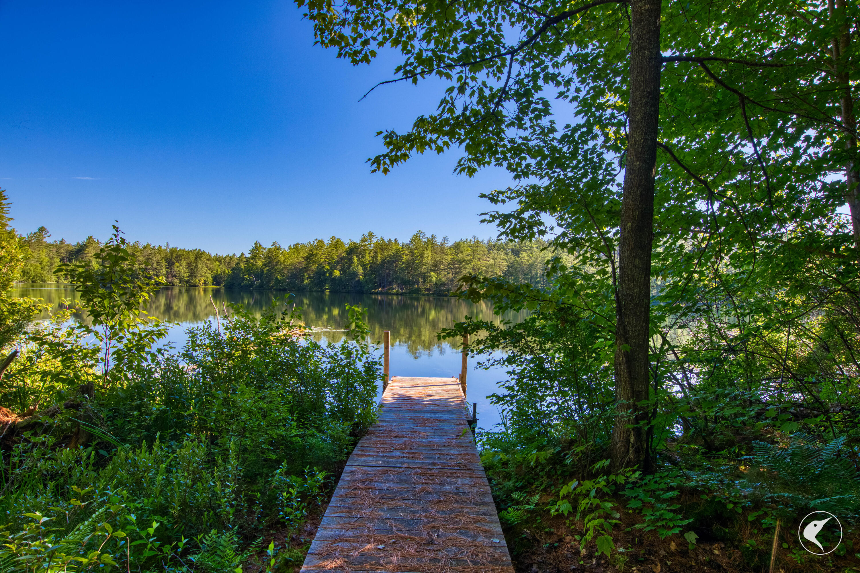 6 Kushaqua Mud Pond Rd Road