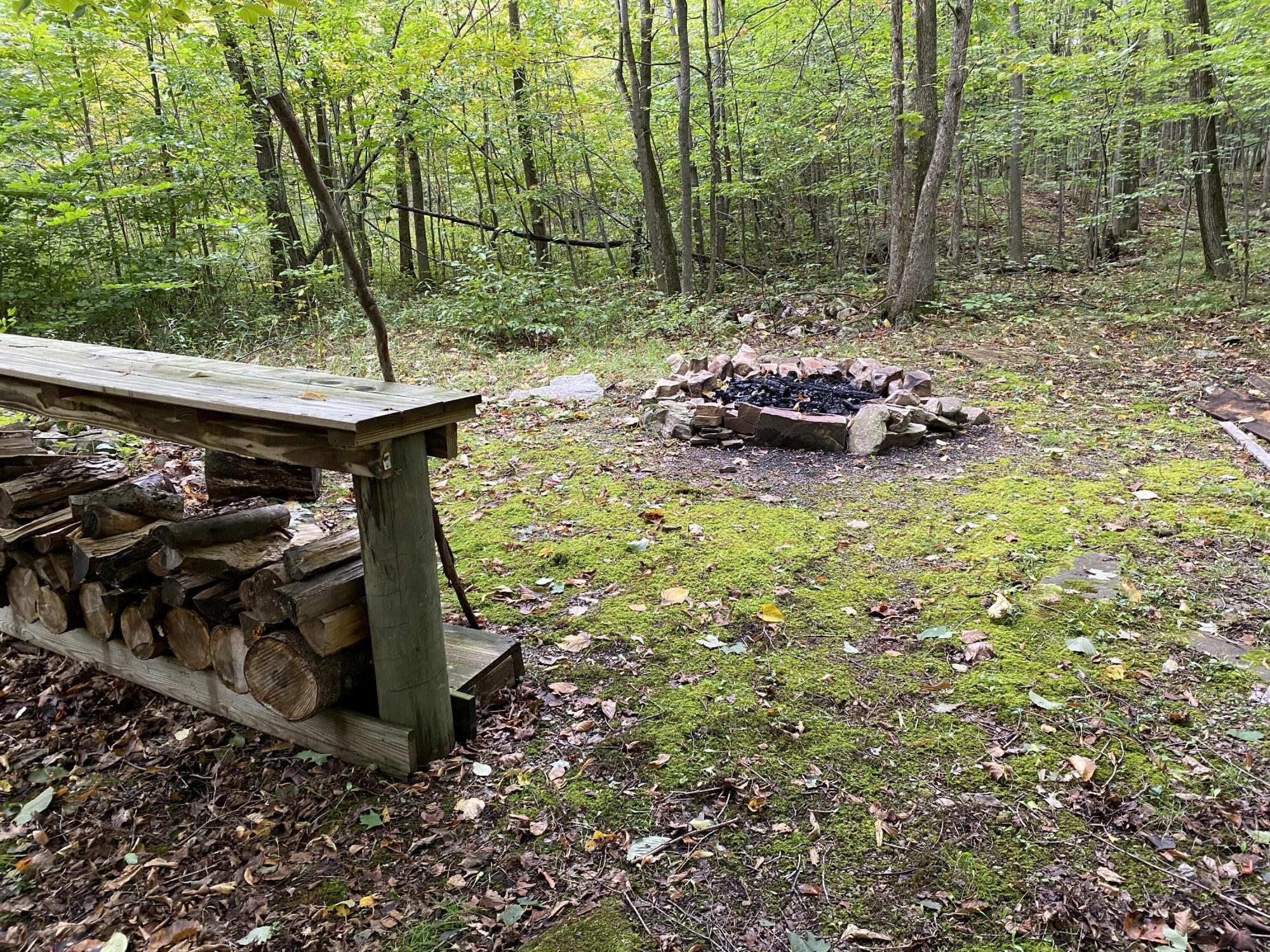 719 Cannon Corners Road, Mooers Forks, New York image 9