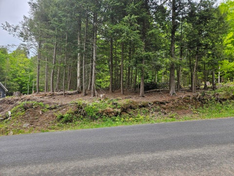 Vacant Land For Sale - 74 Tamarac Drive<br/> Tupper Lake, NY 12986