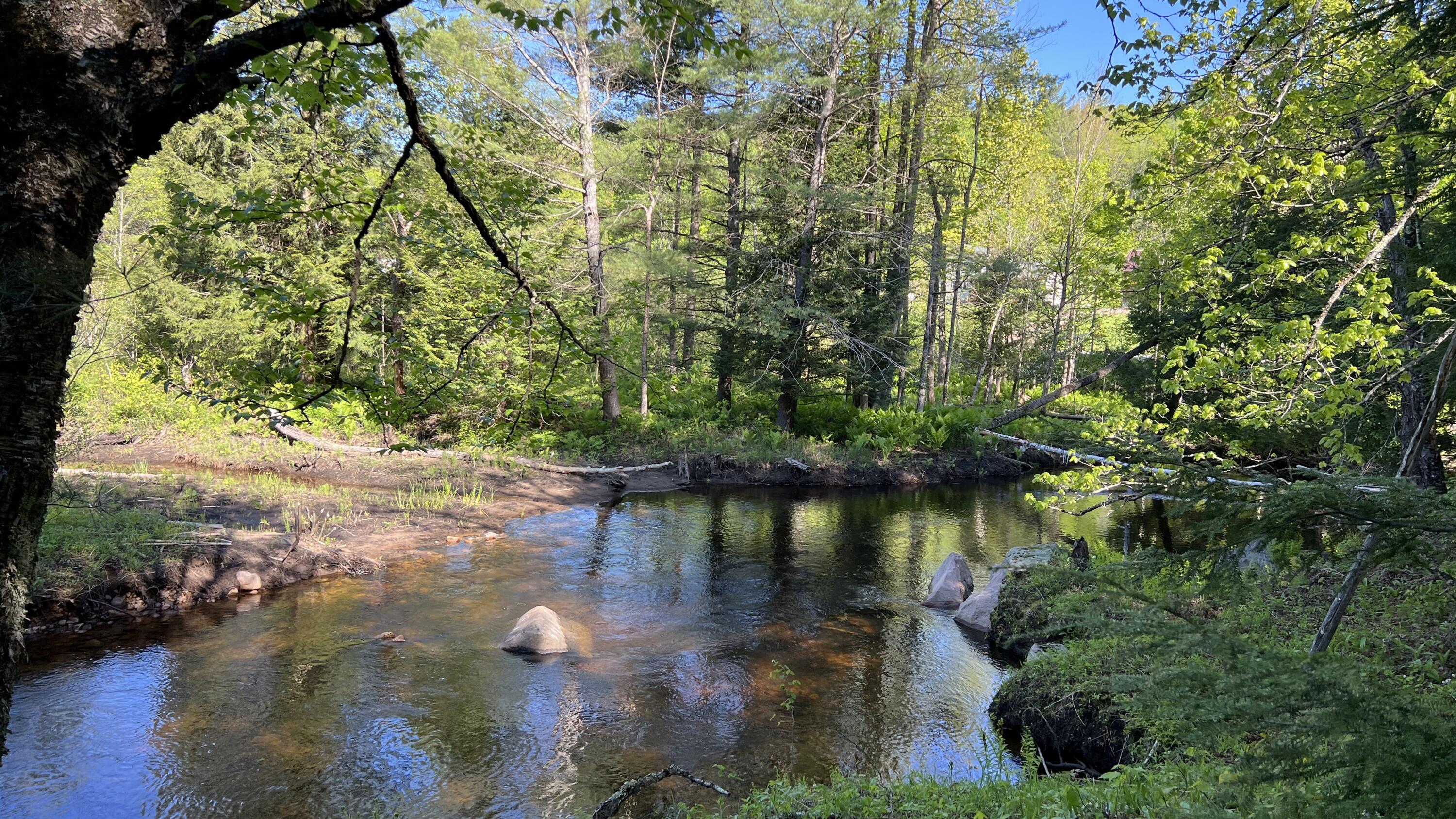 273 True Brook Road, Saranac, New York image 12