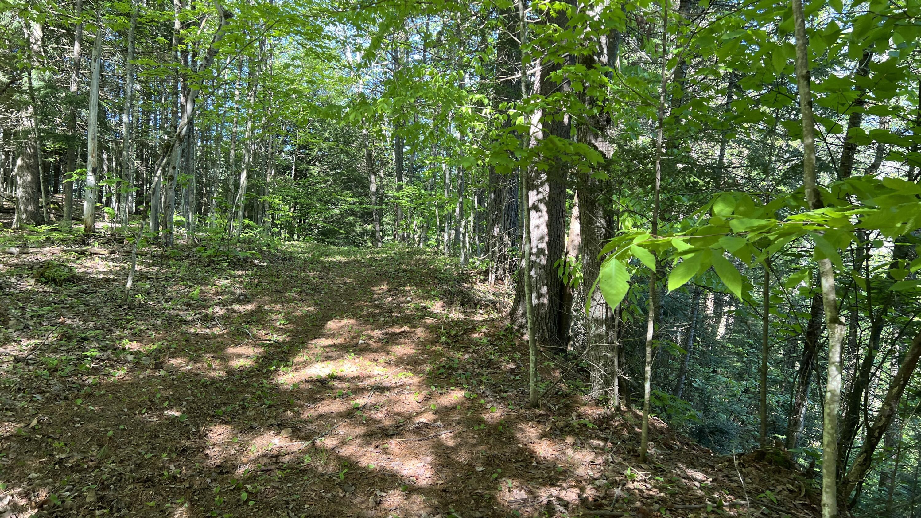 273 True Brook Road, Saranac, New York image 11