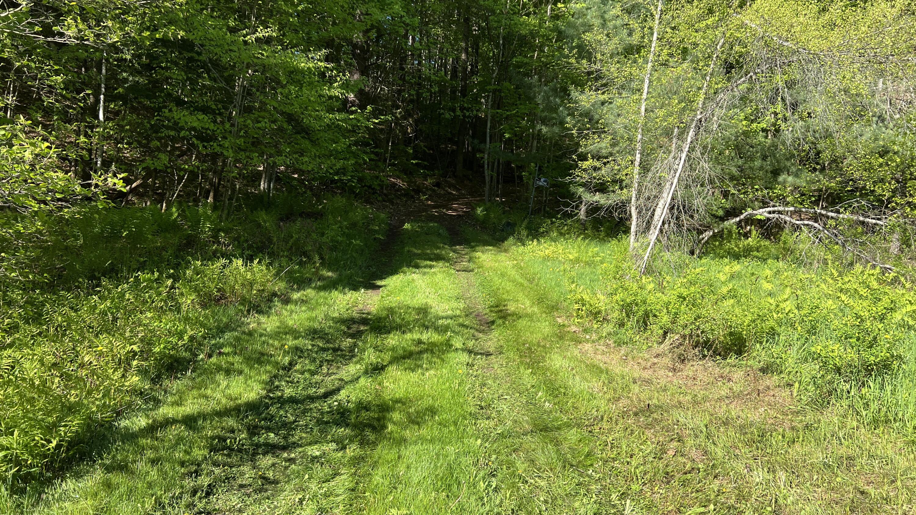 273 True Brook Road, Saranac, New York image 5
