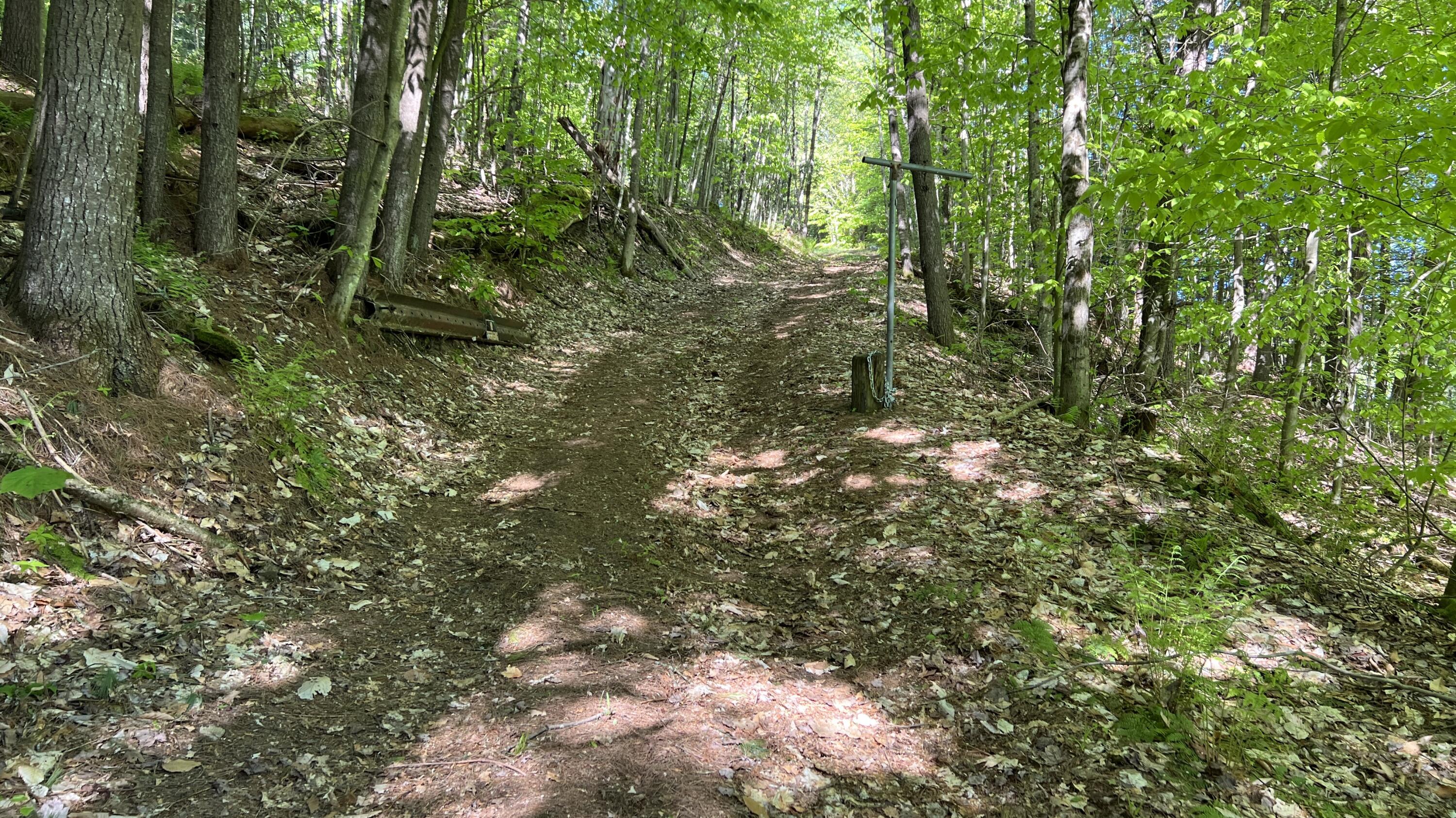 273 True Brook Road, Saranac, New York image 3