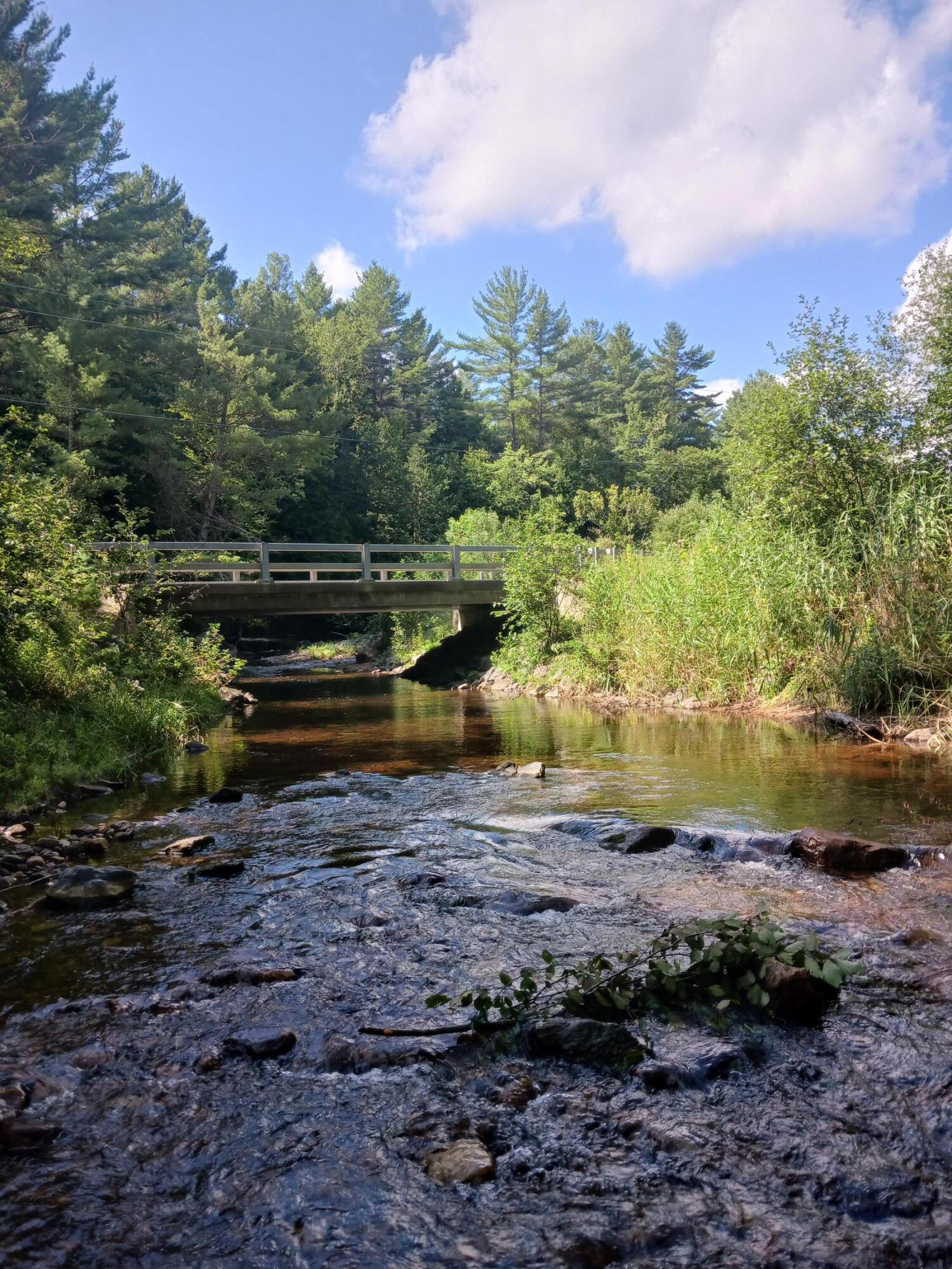 273 True Brook Road, Saranac, New York image 14