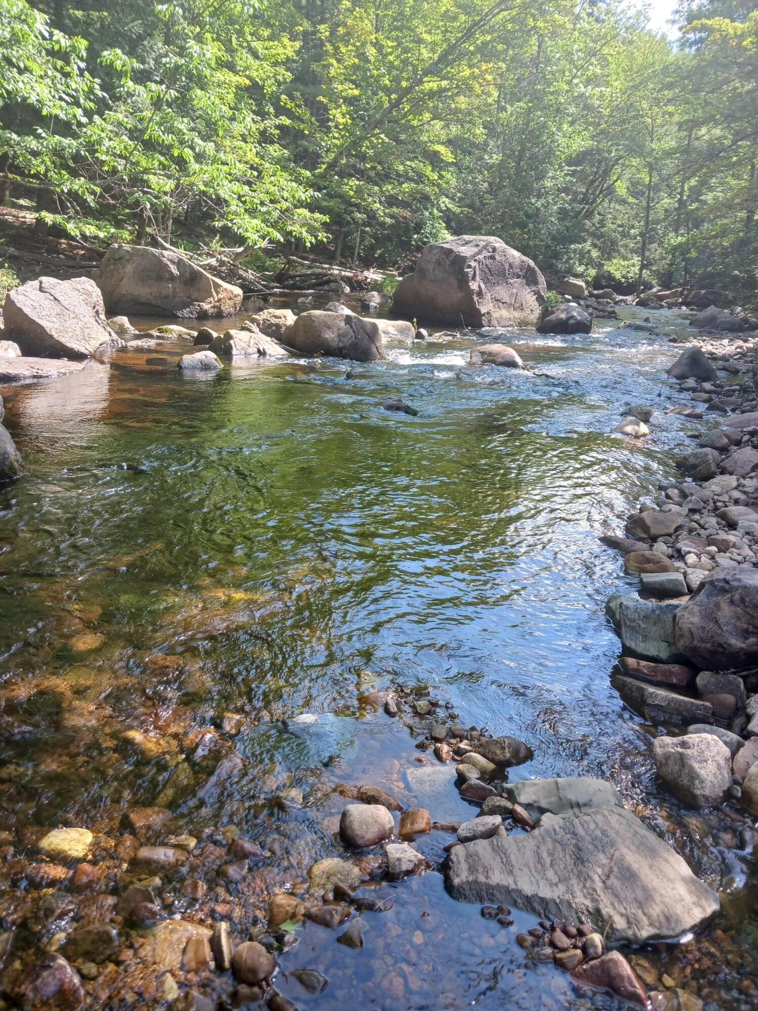 273 True Brook Road, Saranac, New York image 17