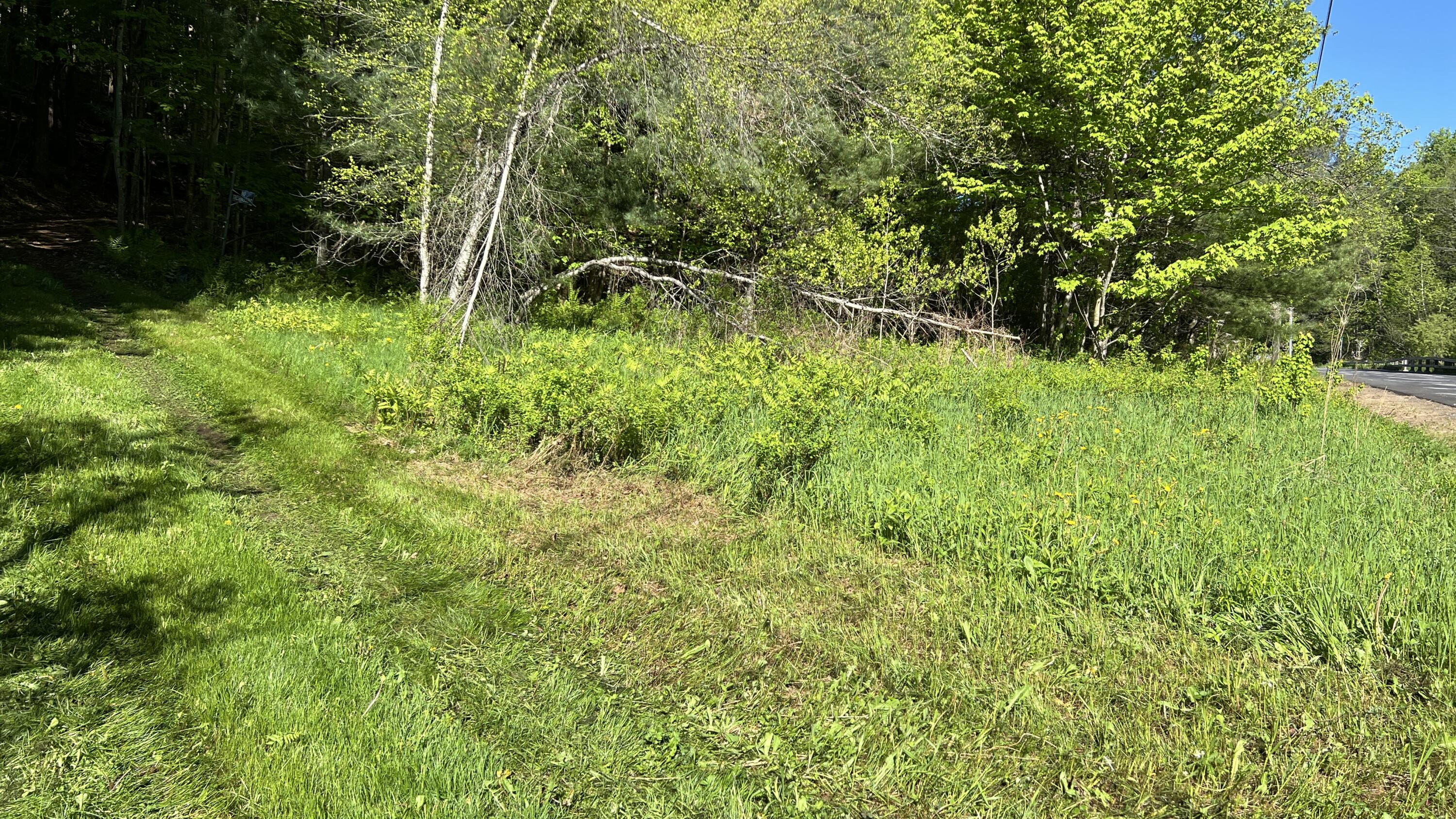 273 True Brook Road, Saranac, New York image 4