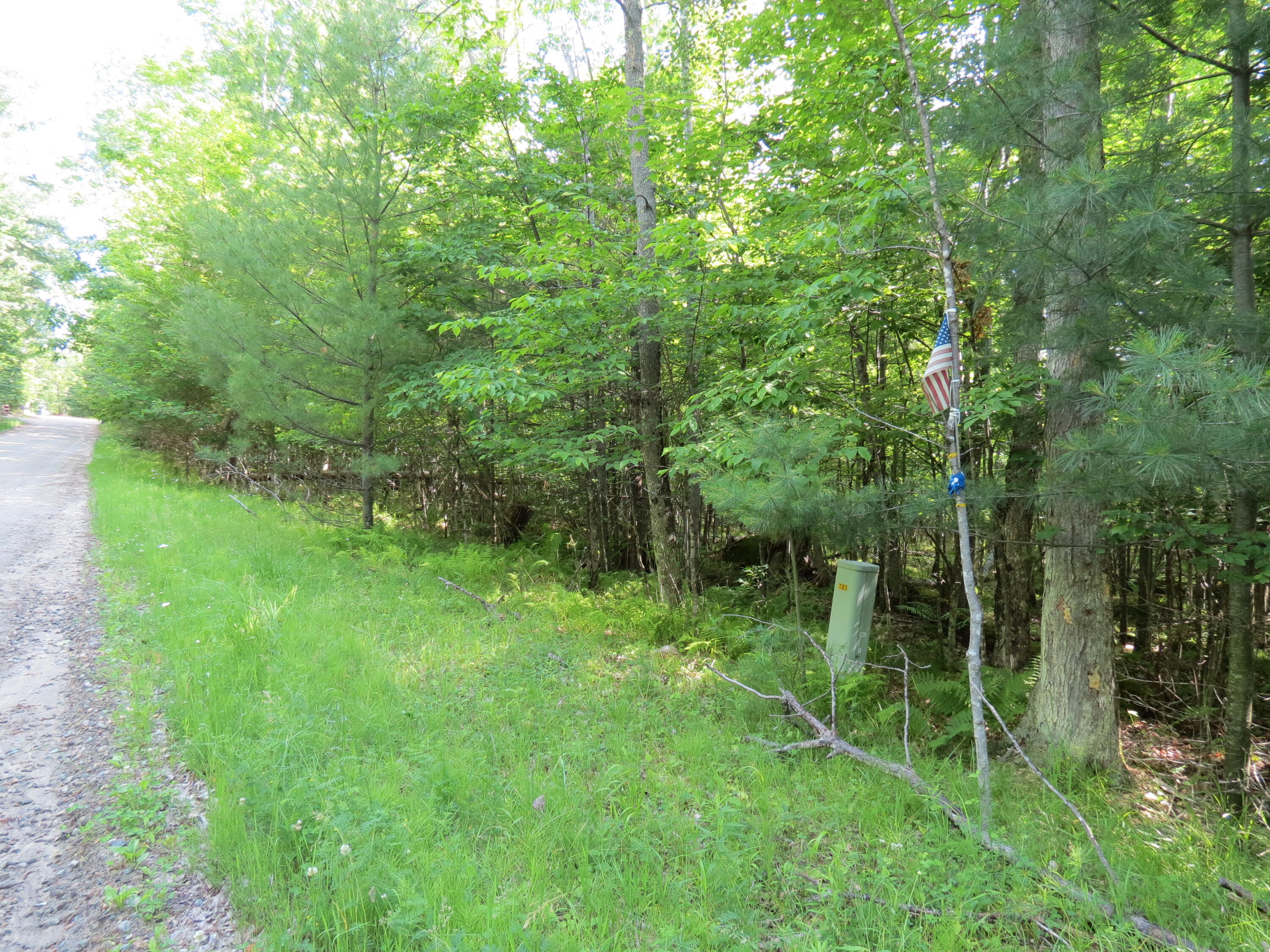 Lot 118 Tannenbaum Lane
