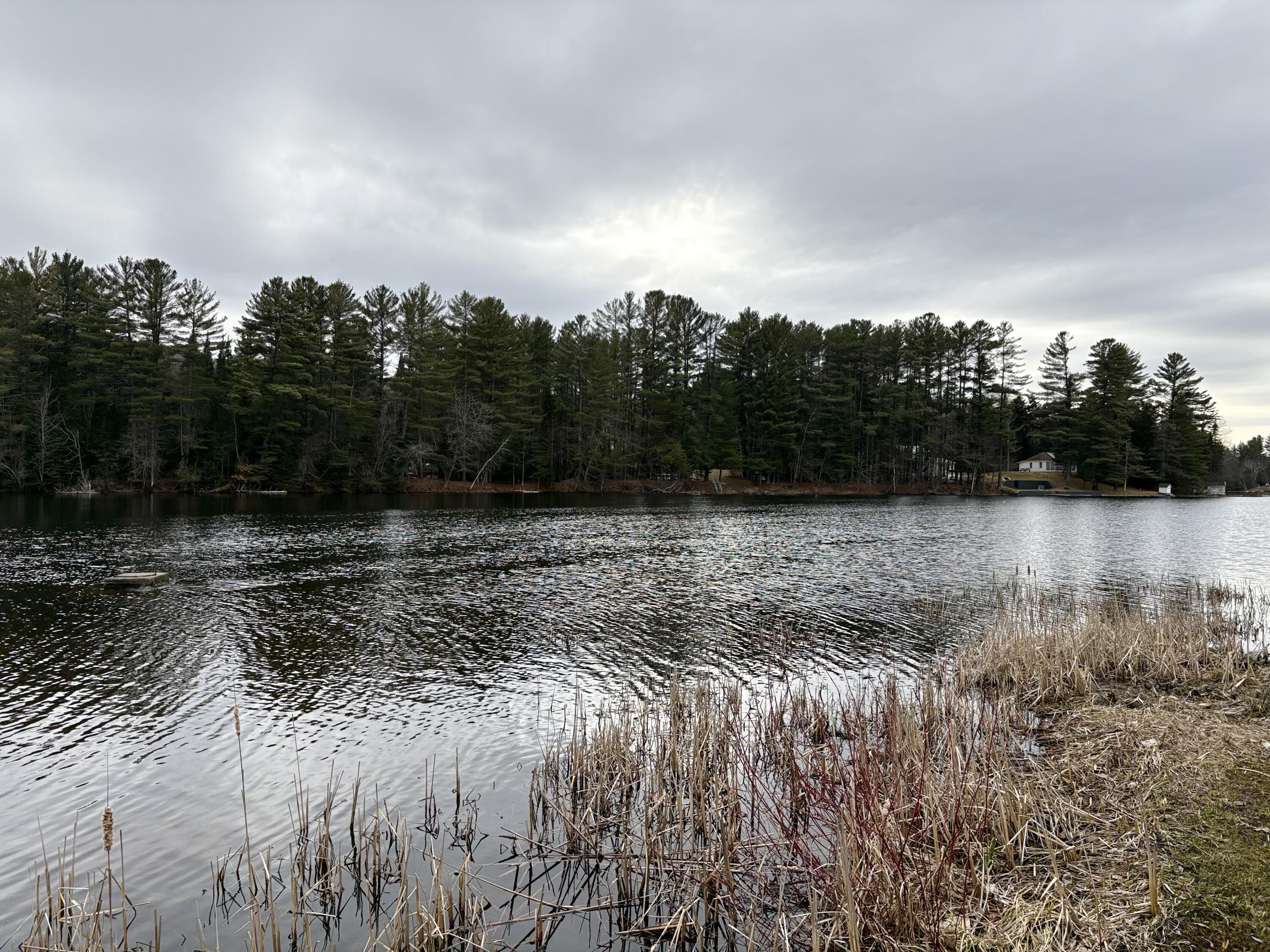 19 Hill Road, Merrill, New York image 13