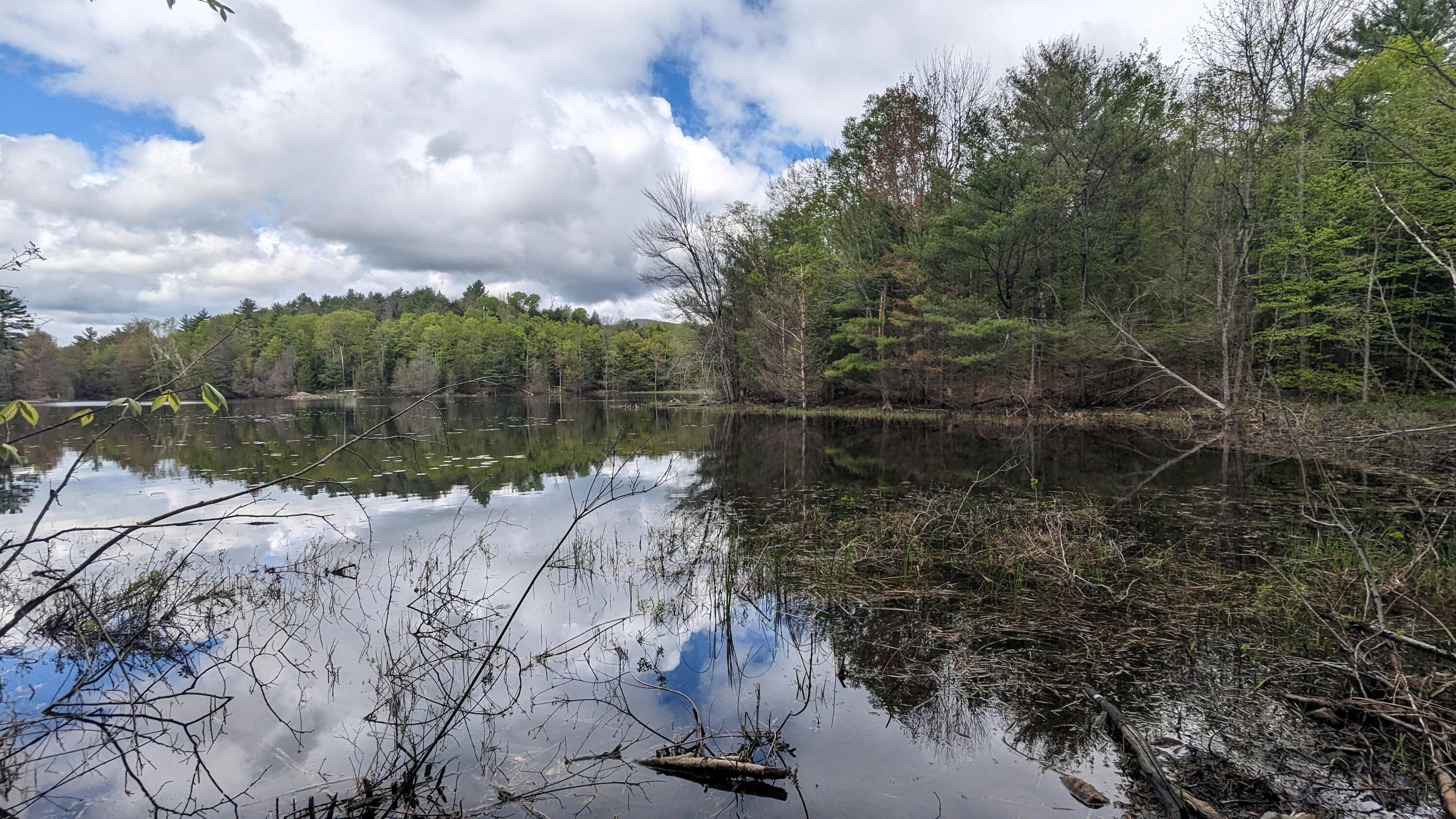 118 Sherman Lake Road
