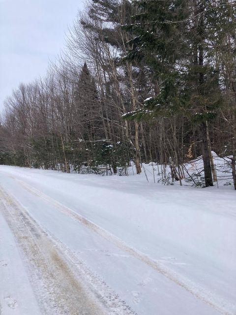 Vacant Land For Sale - Walkerville Road<br/> North Bangor, NY 12966