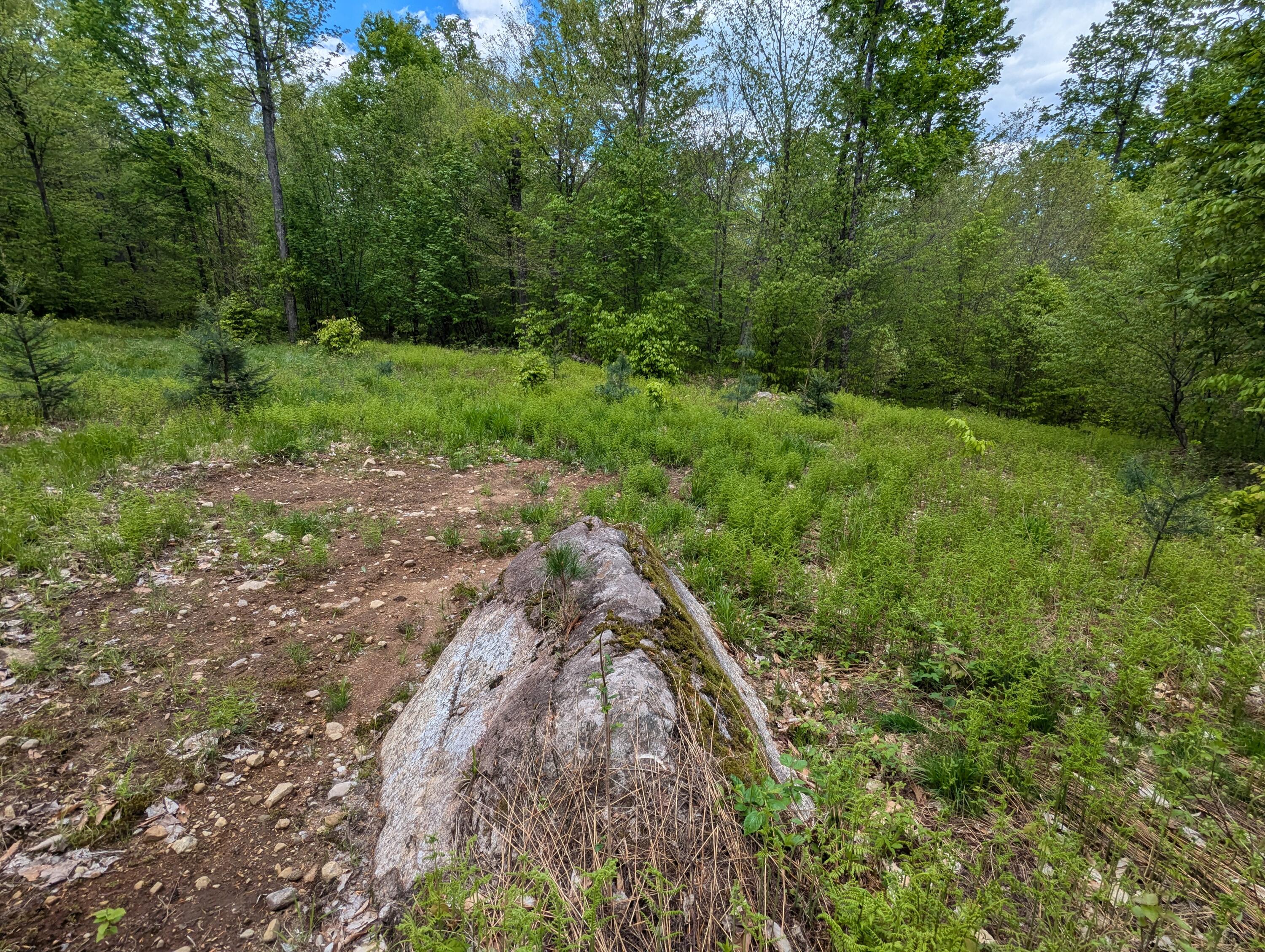 Lot #6 County Route 60, Rainbow Lake, New York image 2