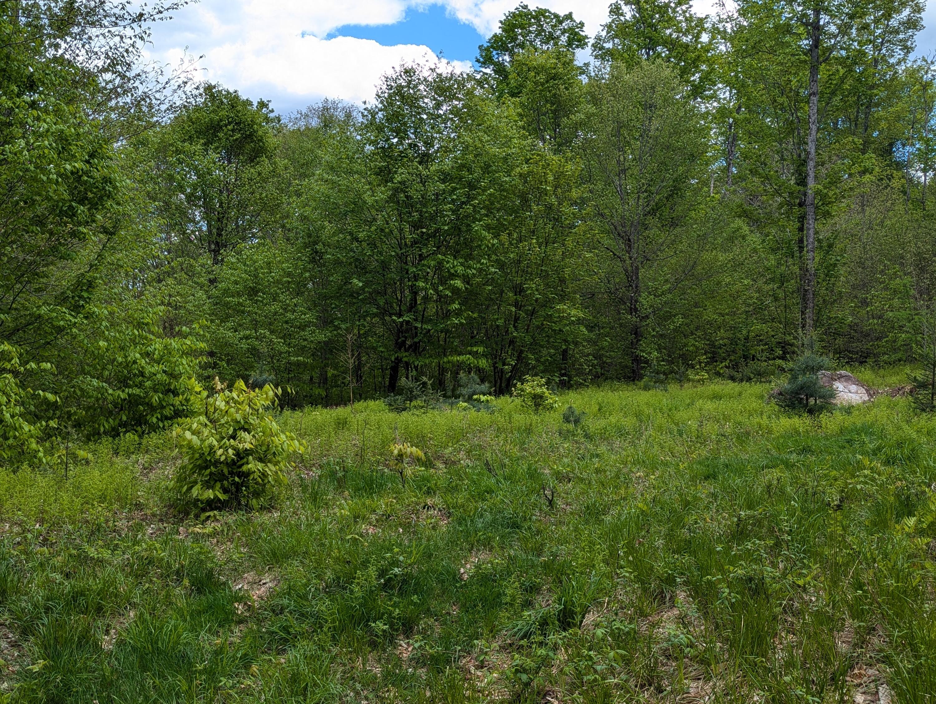 Lot #6 County Route 60, Rainbow Lake, New York image 6
