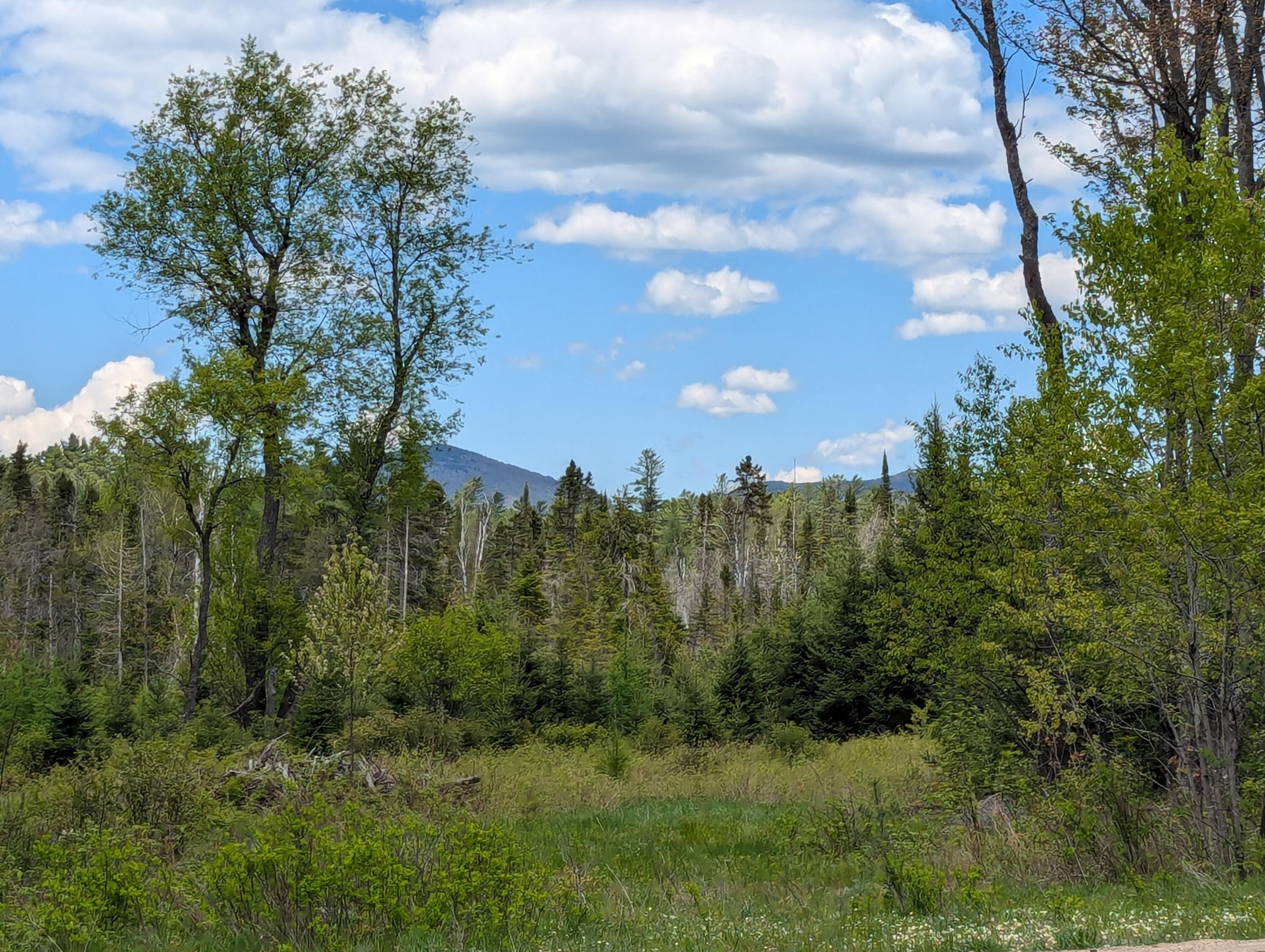 Lot #6 County Route 60, Rainbow Lake, New York image 1