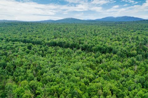 Vacant Land For Sale - TBD Rock Street<br/> Franklin County, Vermontville, NY 12989