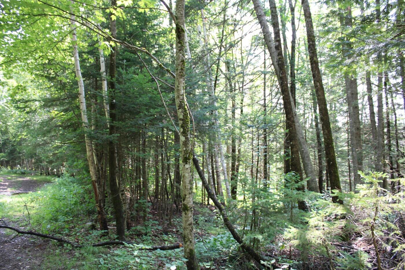 N Hill View Court, Indian Lake, New York image 5
