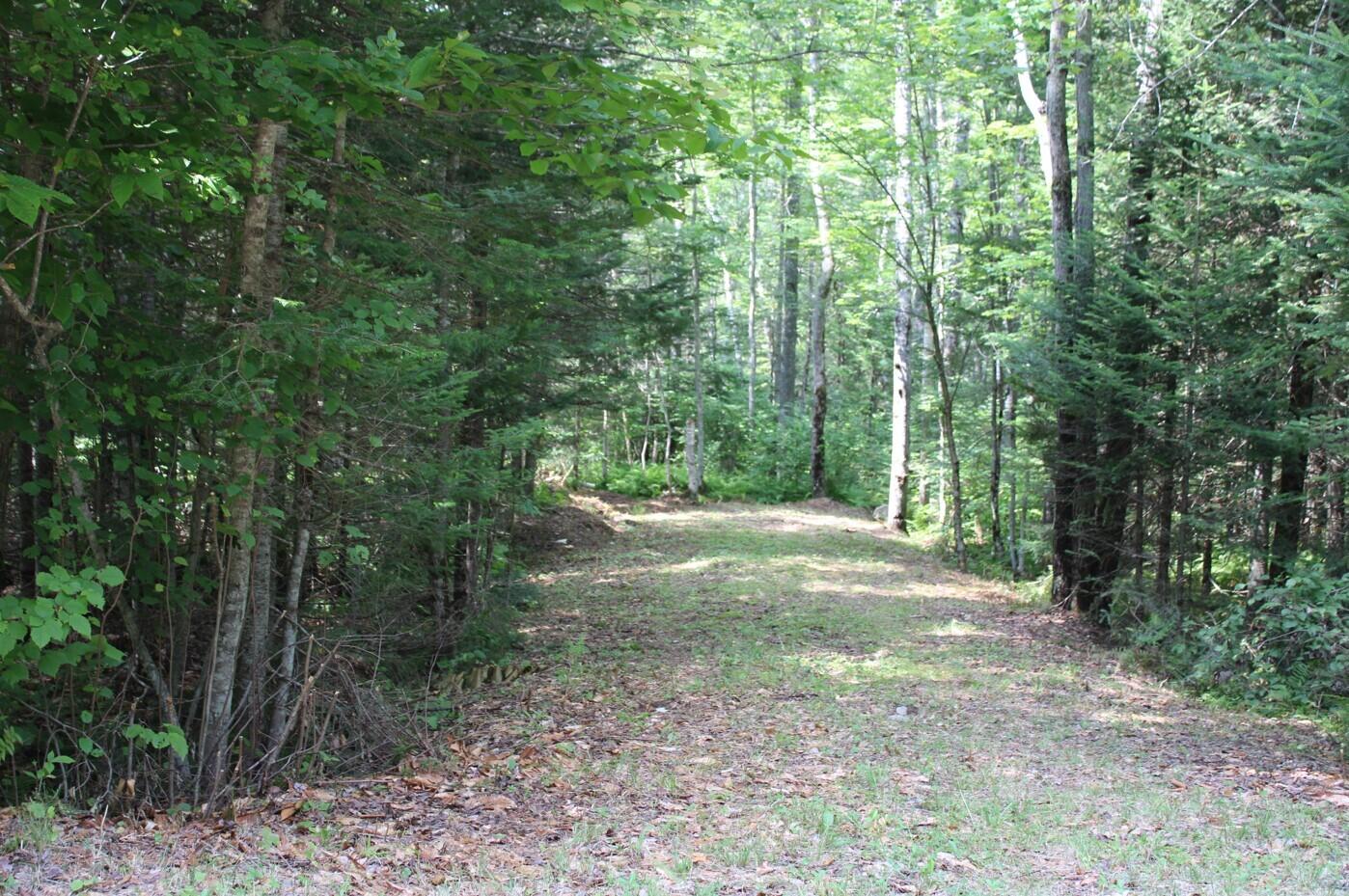 N Hill View Court, Indian Lake, New York image 1
