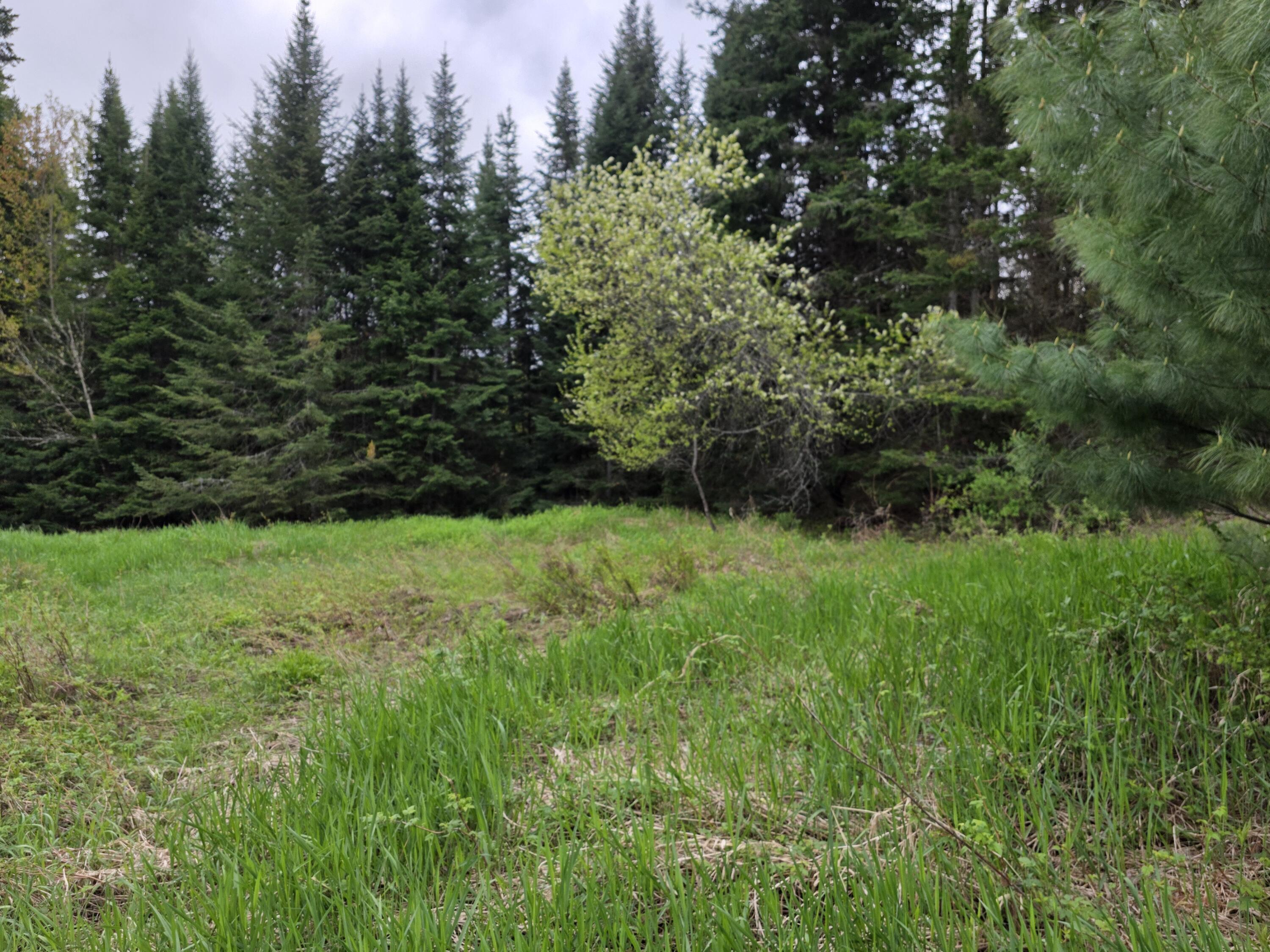 00 Tyler Road, Vermontville, New York image 3