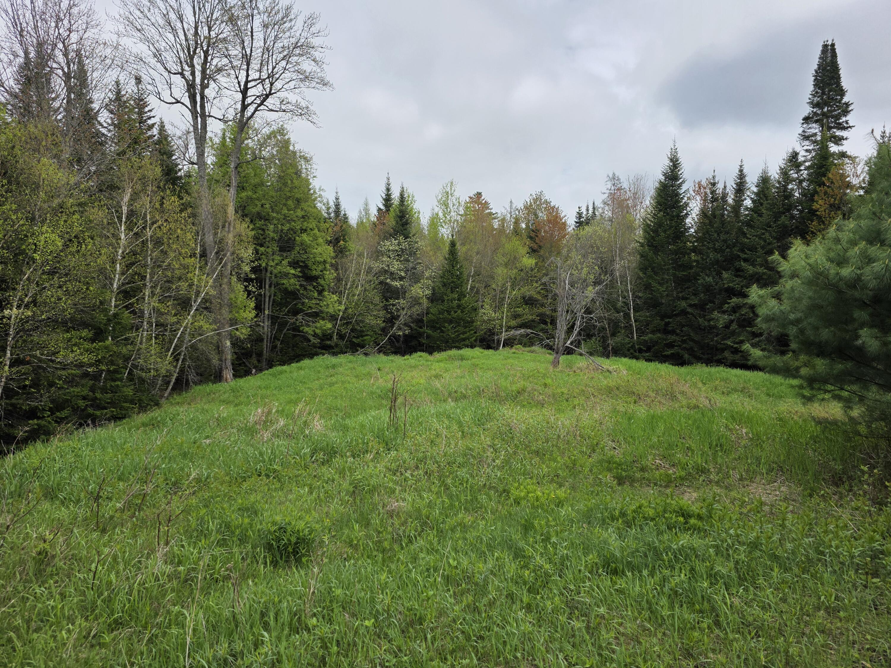 00 Tyler Road, Vermontville, New York image 1
