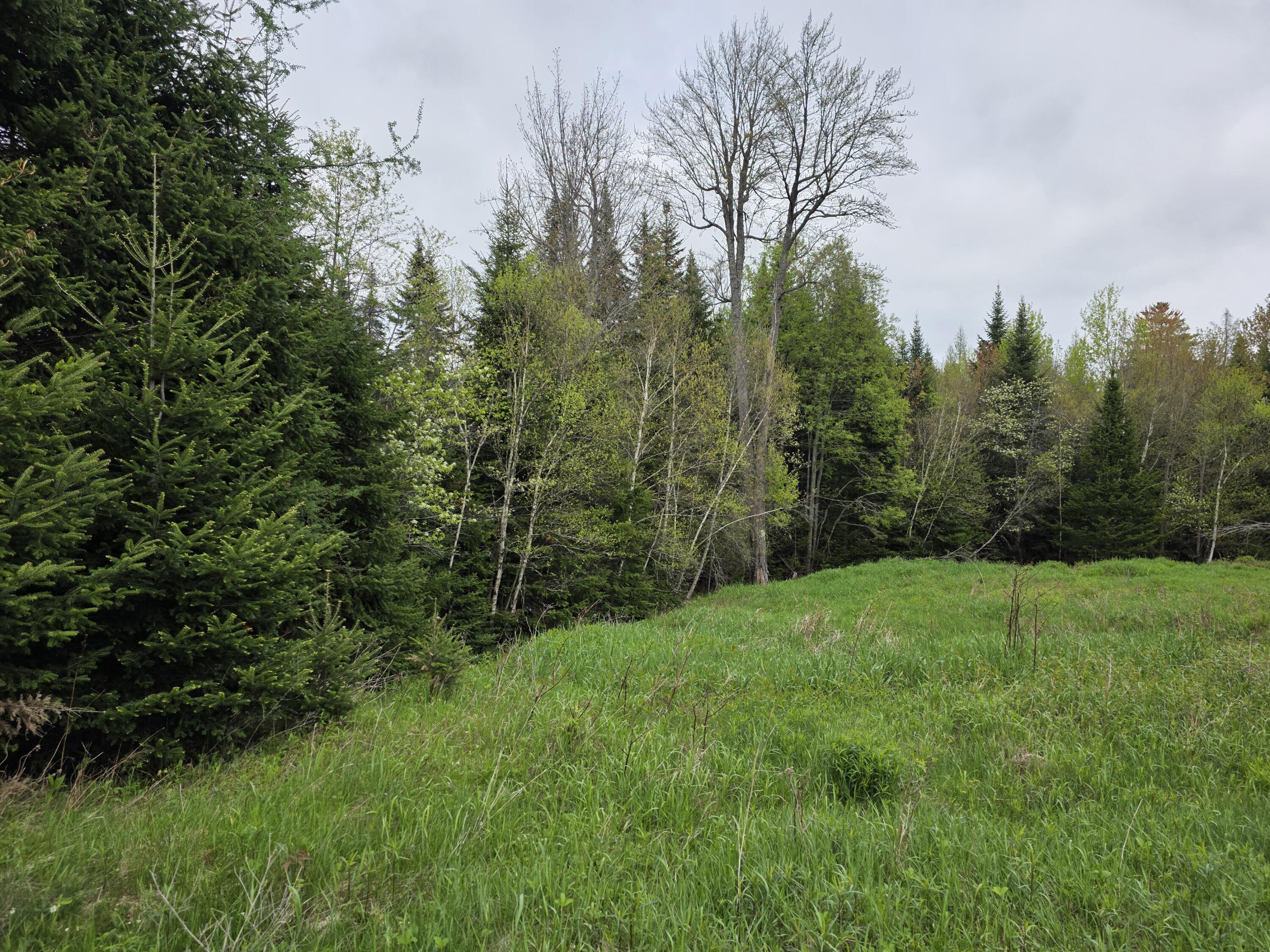 00 Tyler Road, Vermontville, New York image 4