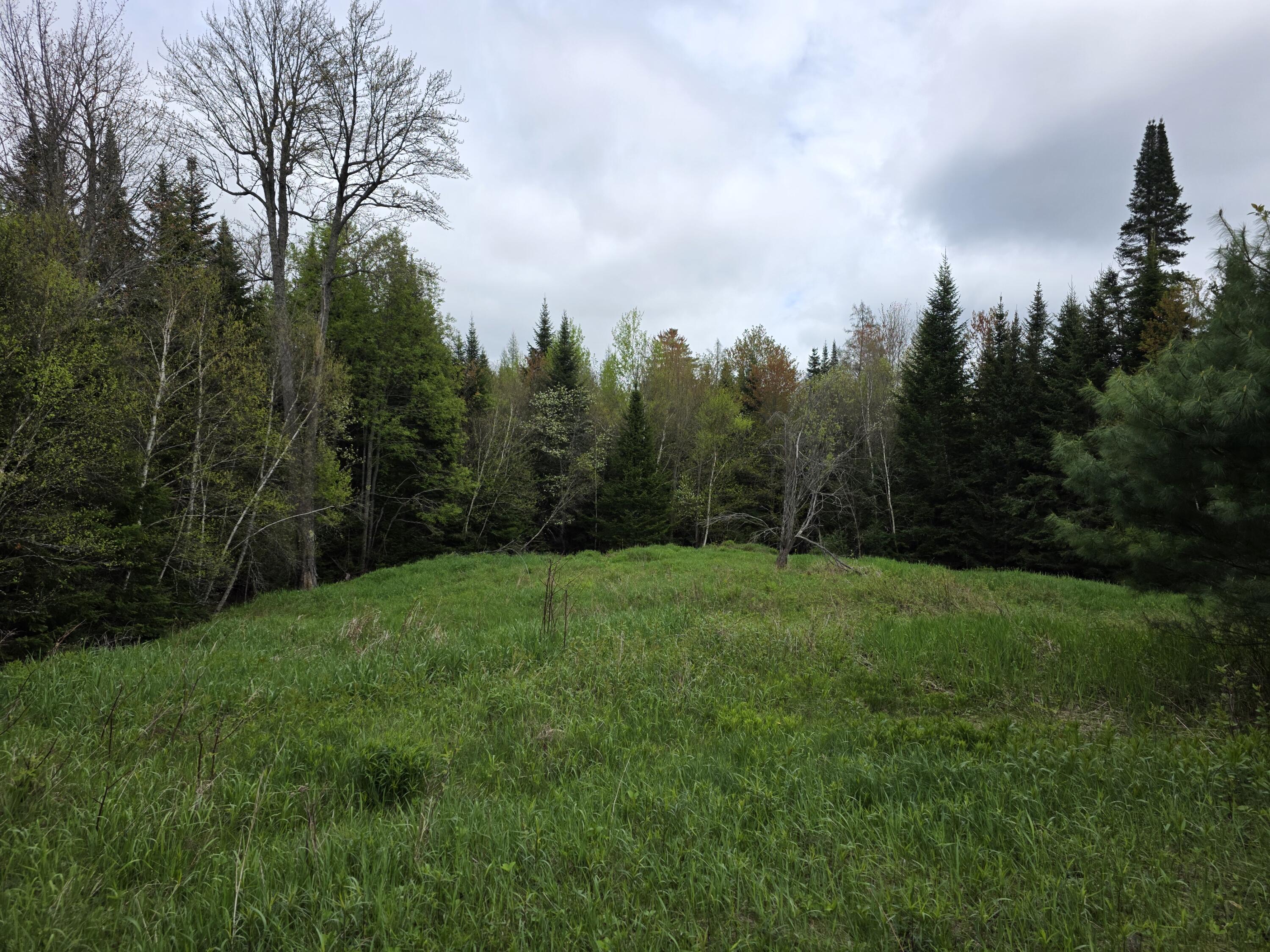 00 Tyler Road, Vermontville, New York image 5