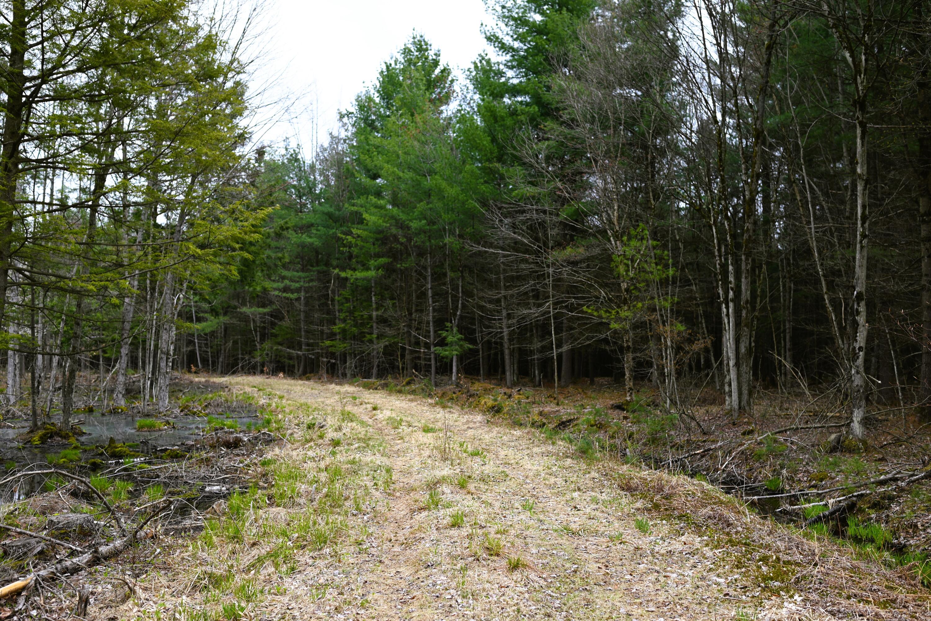 422 Stebbins Road, Constable, New York image 19