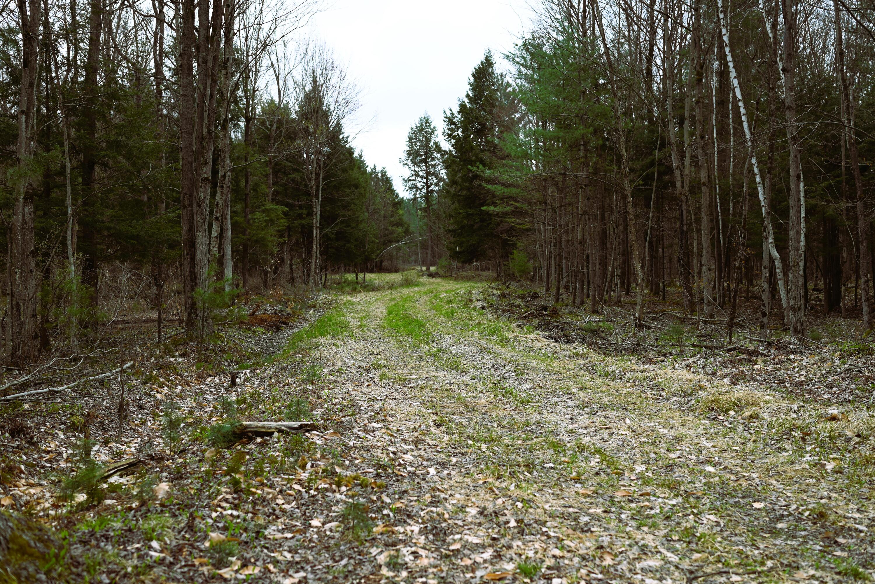 422 Stebbins Road, Constable, New York image 17