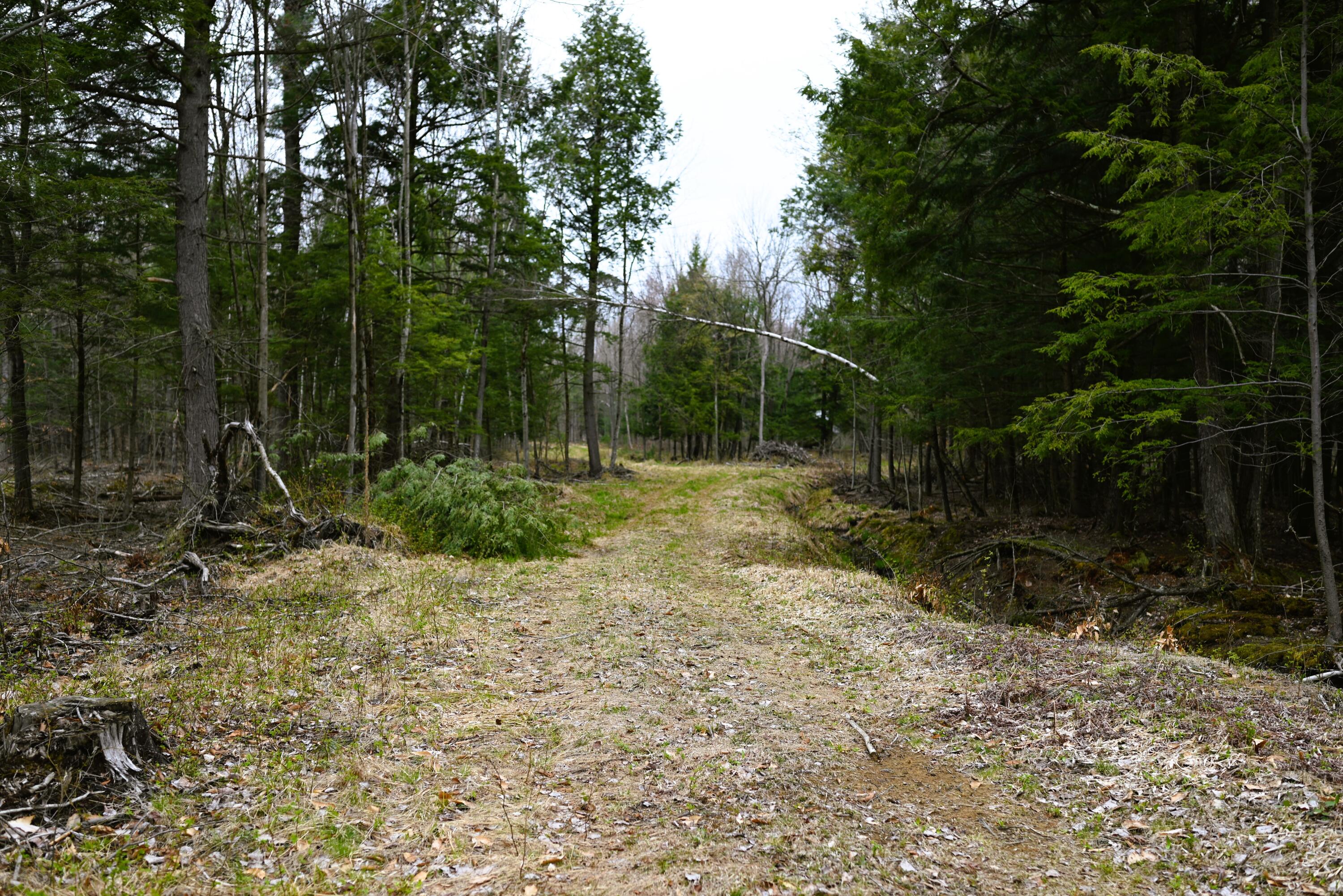 422 Stebbins Road, Constable, New York image 18