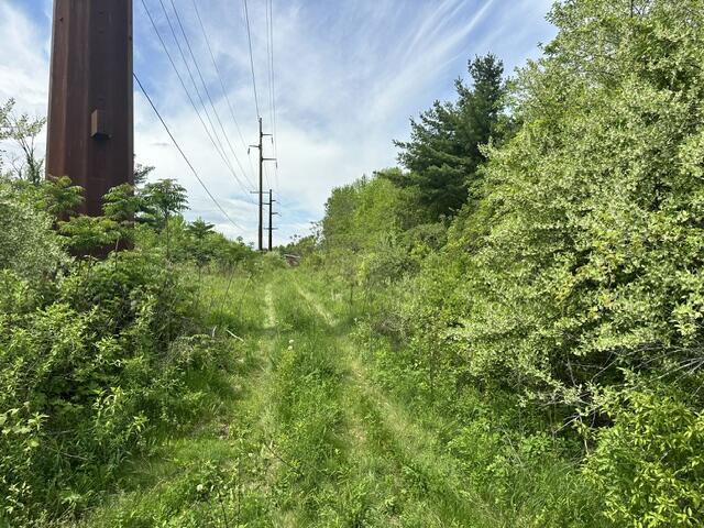 # Bear Swamp Road
