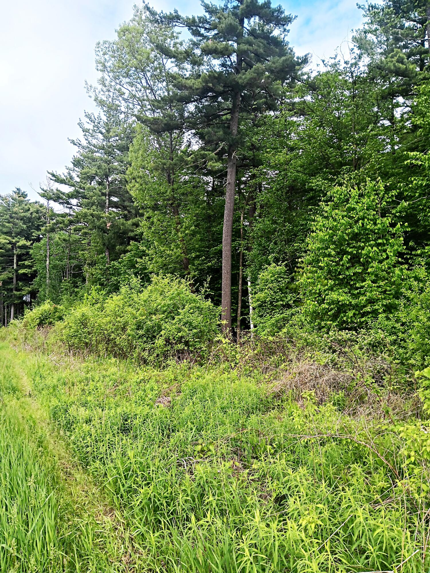 # Bear Swamp Road