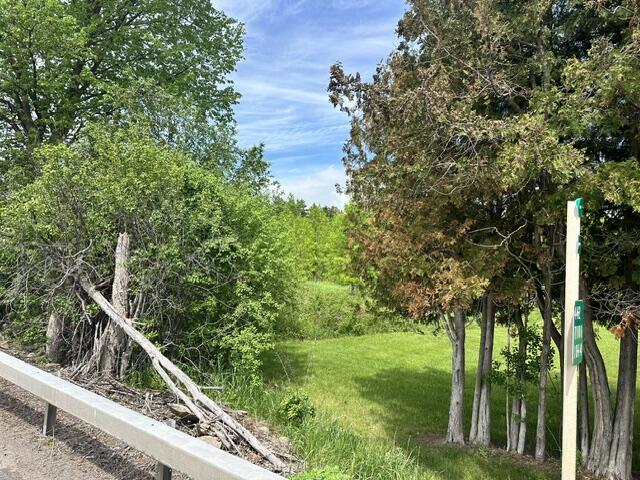 # Bear Swamp Road