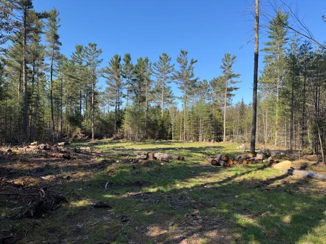 57 Tyler Road, Vermontville, New York image 1