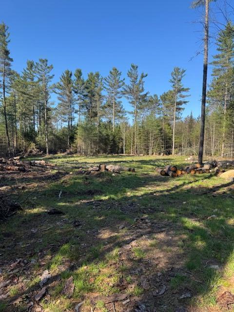 57 Tyler Road, Vermontville, New York image 2