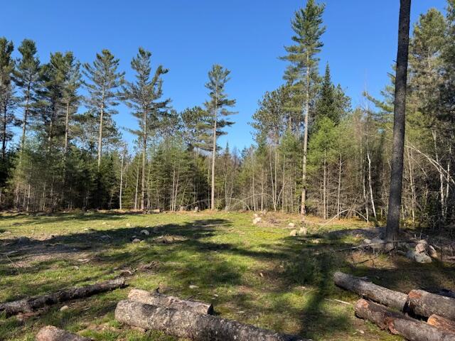 57 Tyler Road, Vermontville, New York image 3