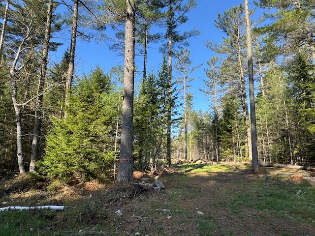 57 Tyler Road, Vermontville, New York image 6