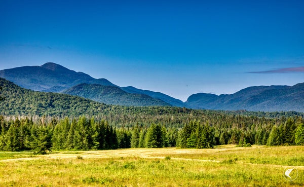166 FAR HORIZON DR, LAKE PLACID, NY 12946 - Image b19fcb7f7da27ad55660733f9fad4f4a/1485643707