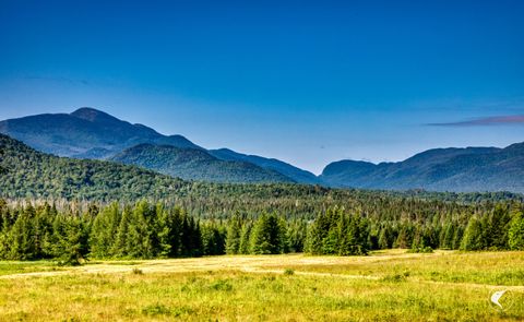 Vacant Land For Sale - 166 Far Horizon Drive<br/> Lake Placid, NY 12946
