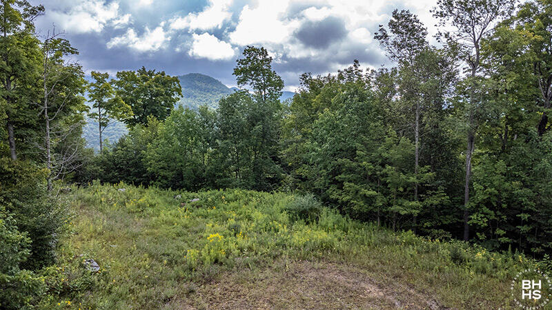 Panorama Drive Lot 14 & 18, Saranac Lake, New York image 13