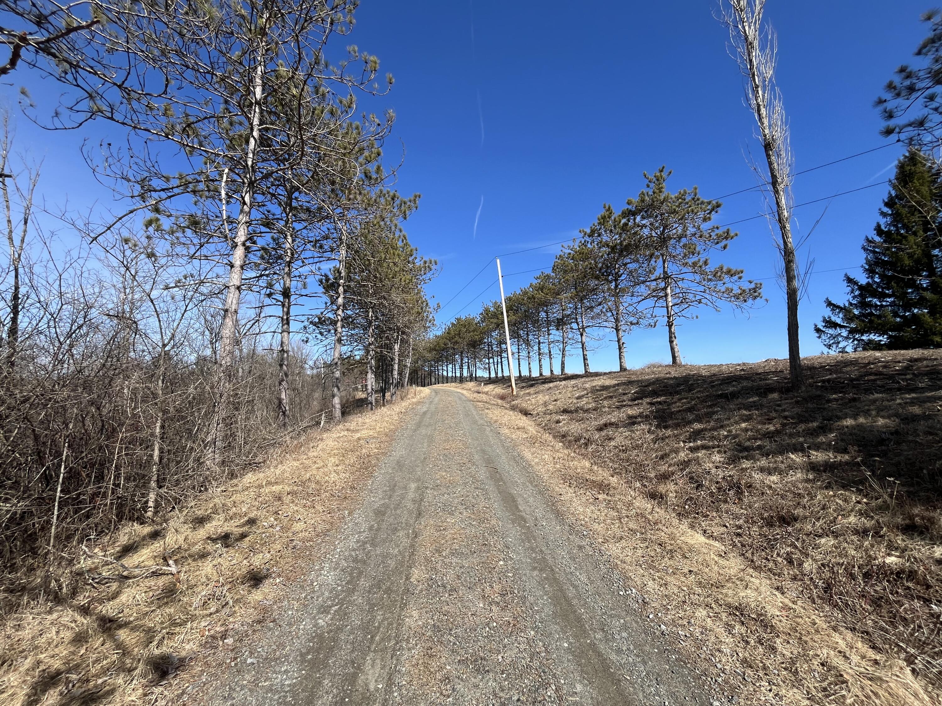 99 Sayre Road, Westport, New York image 6
