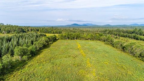 412 Harrietstown Rd. Saranac Lake NY 12939