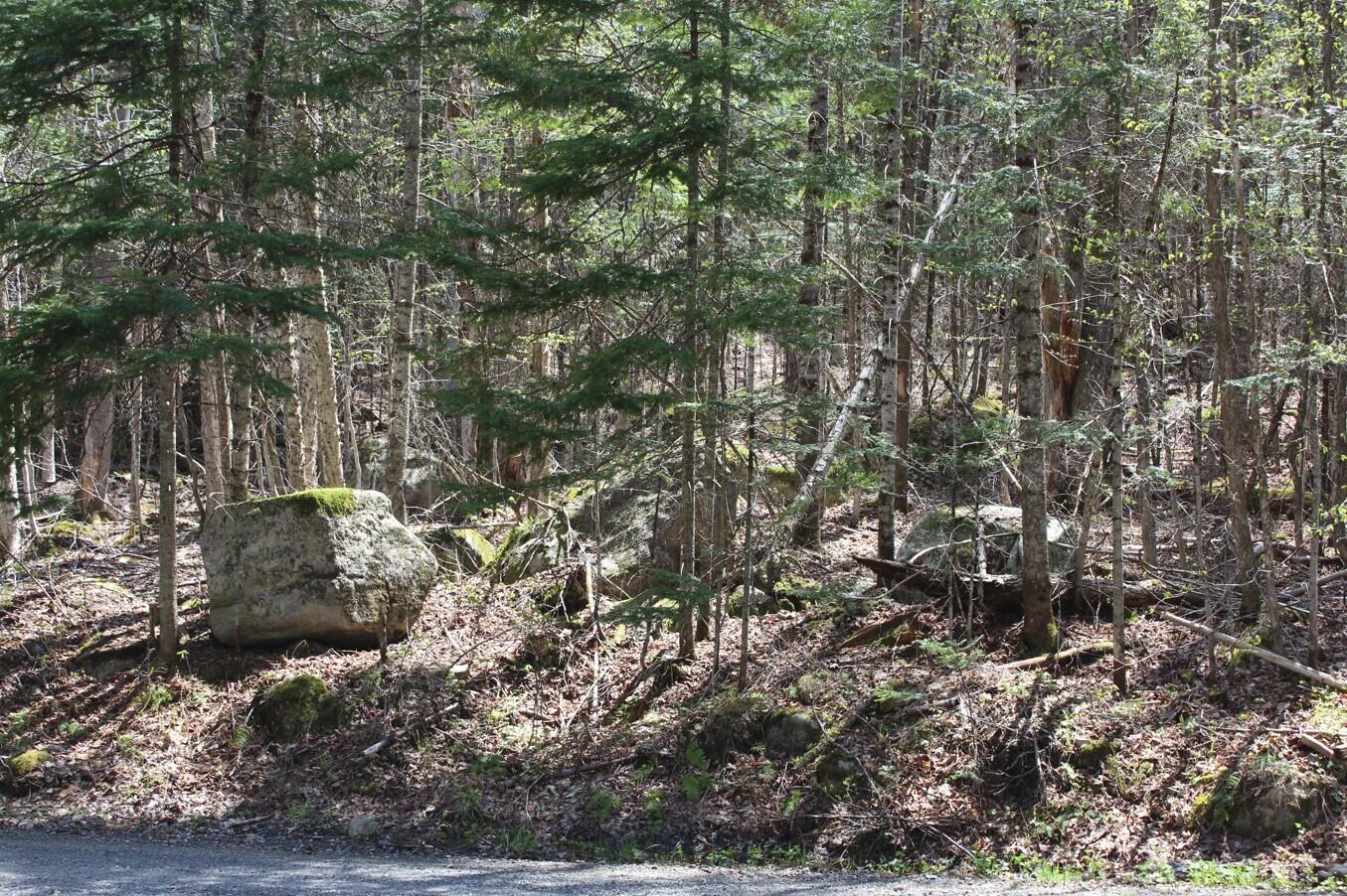 Evergreen Road, Indian Lake, New York image 6