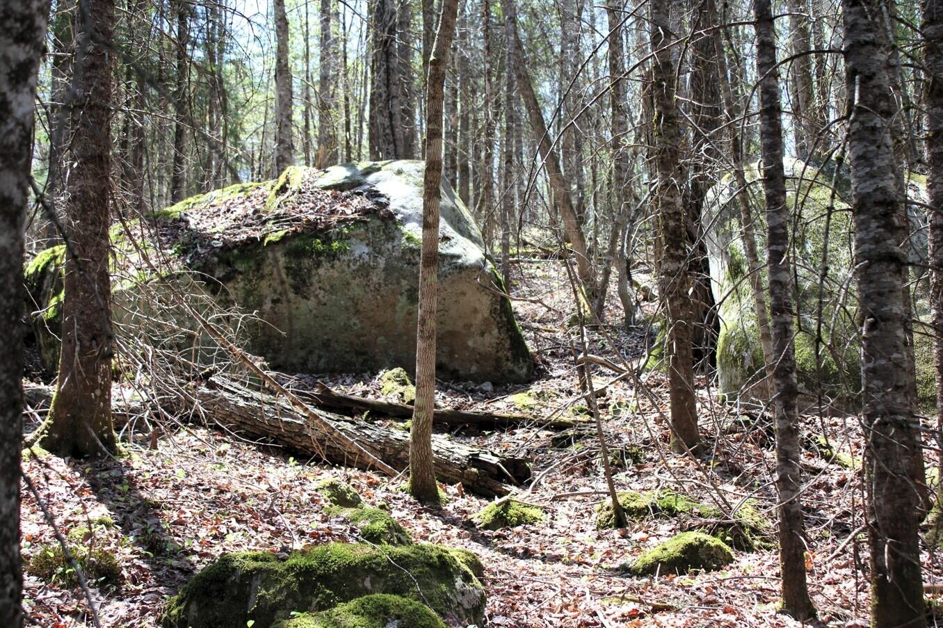 Evergreen Road, Indian Lake, New York image 3