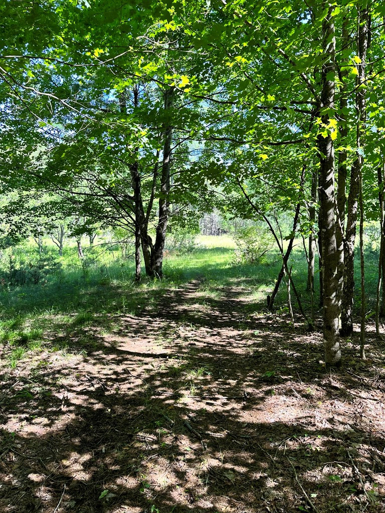Mellow Way (lot #7), Wilmington, New York image 3