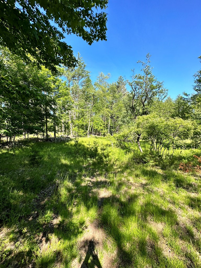 Mellow Way (lot #7), Wilmington, New York image 5