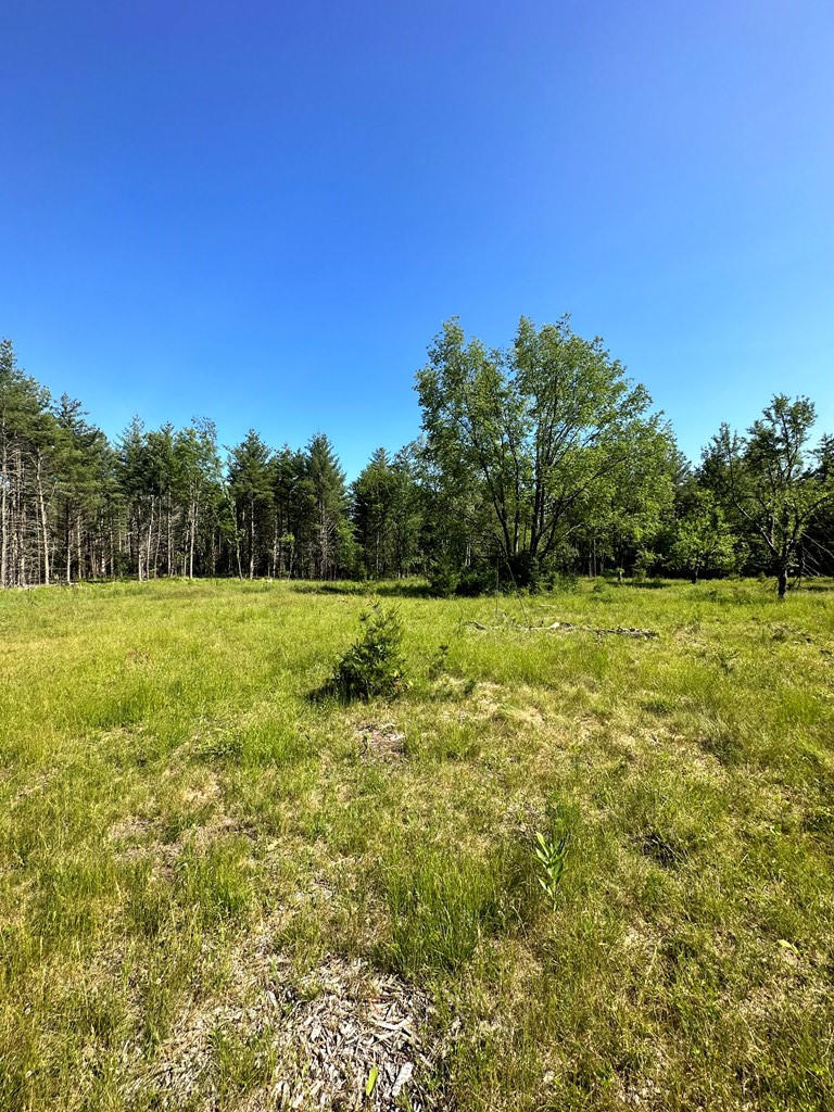 Mellow Way (lot #7), Wilmington, New York image 6