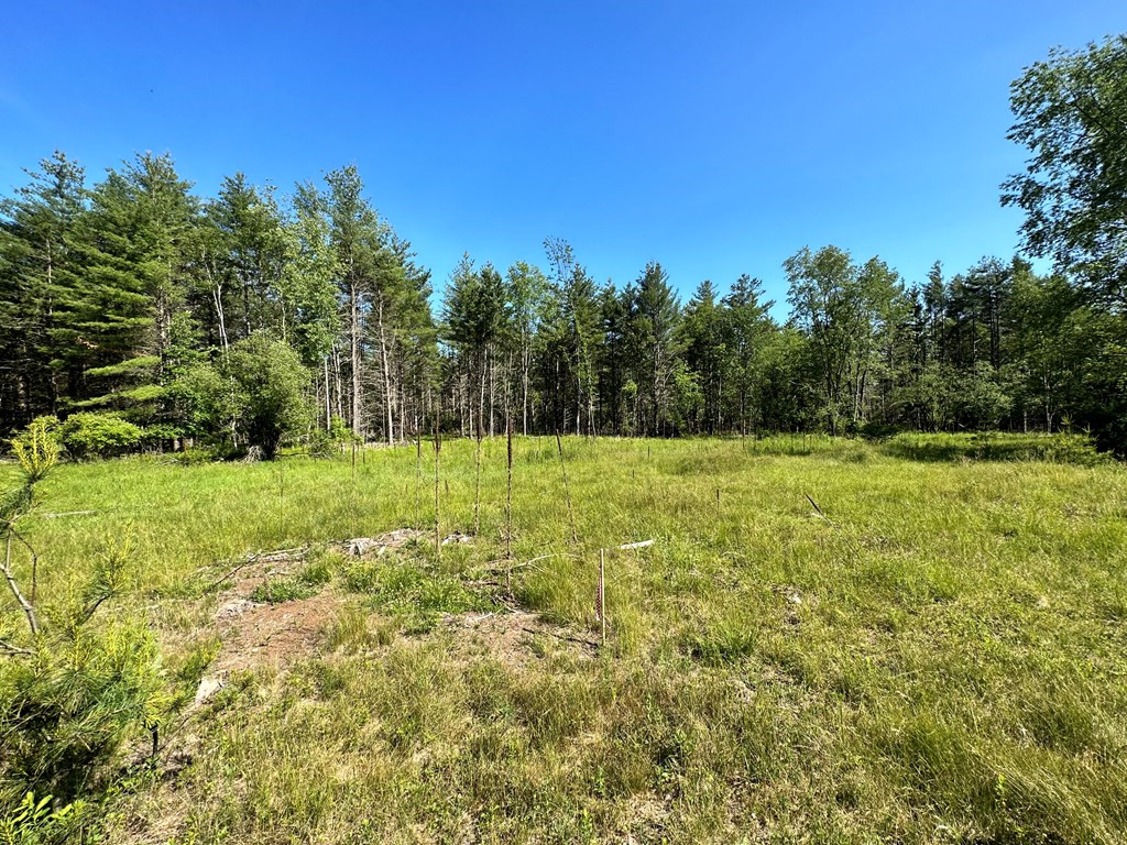 Mellow Way (lot #7), Wilmington, New York image 8