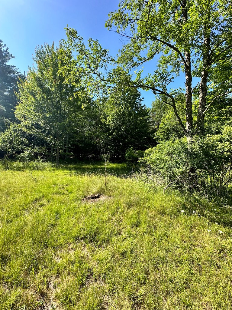 Mellow Way (lot #7), Wilmington, New York image 11