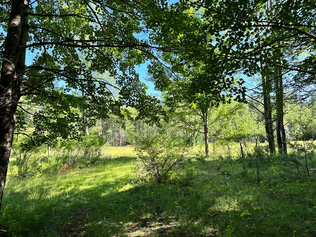 Mellow Way (lot #7), Wilmington, New York image 4