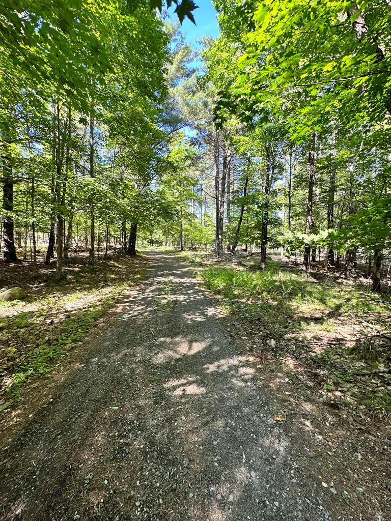 Mellow Way (lot #7), Wilmington, New York image 14