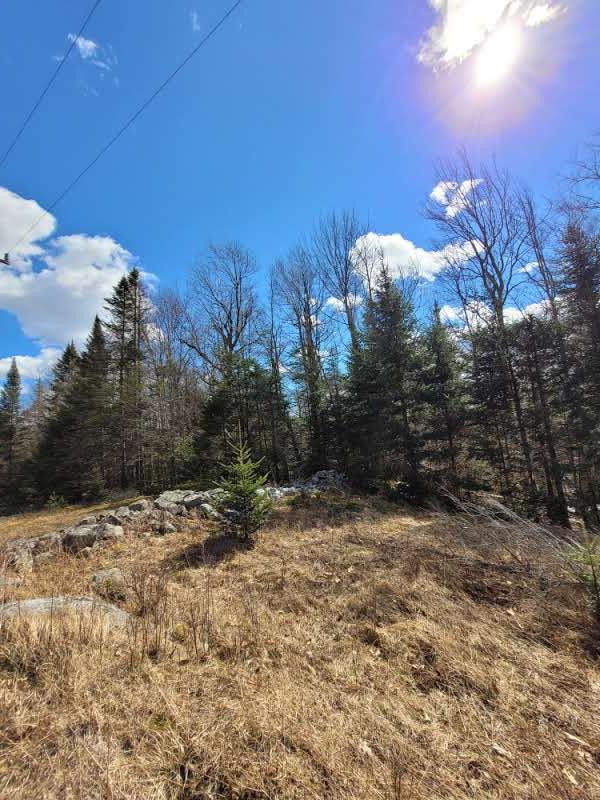783 & 747 Alder Brook Road, Vermontville, New York image 8